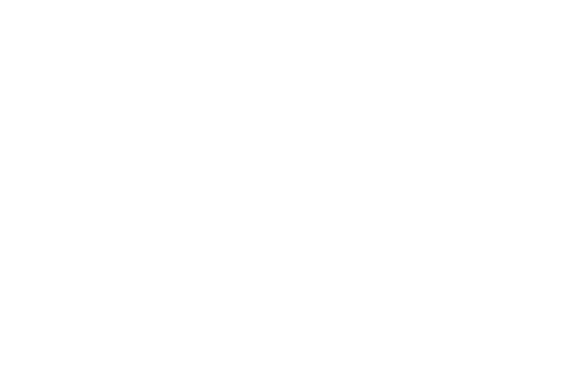 Seoul Mamas logo